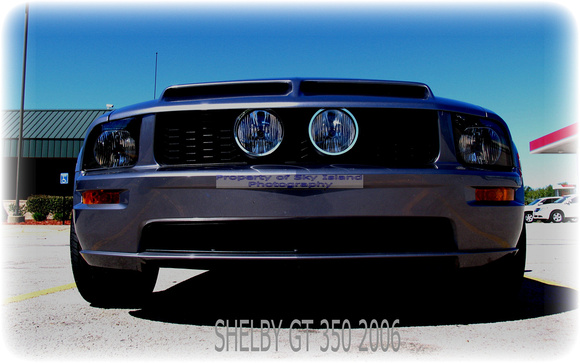 2006 shelby 350